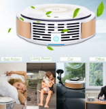 Air Purifier with True HEPA Filter