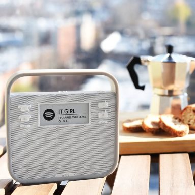 Alexa-Enabled Portable Speaker