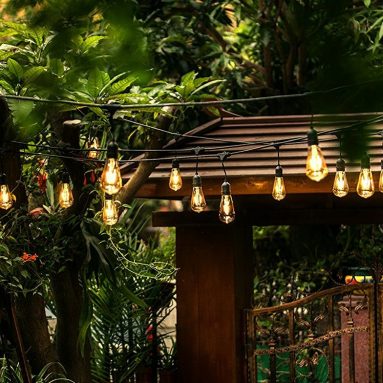 All-Season LED String Light with 24 Oversized Edison Light Bulbs