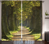 Alley with Oak Trees Scenic Perspective Picture