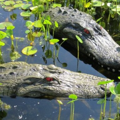 Alligator Head Decoy Kit with Reflective Eyes