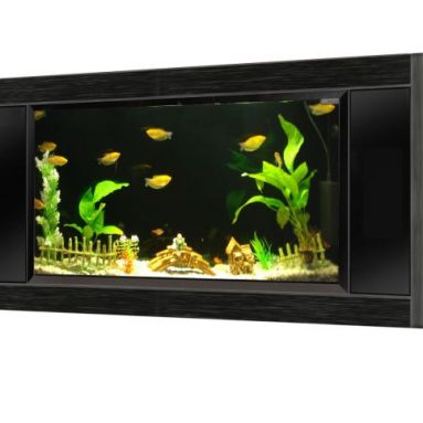 Panoramic Wall Aquarium