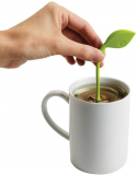 Tea Leaf Infuser