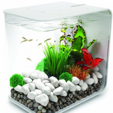 BiOrb 15L Flow Aquarium