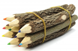 Branch & Twig Assorted Colored Pencils