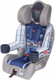 Kids Embrace Dale Earnhardt Jr Toddler/Booster Car Seat