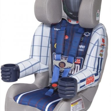 Kids Embrace Dale Earnhardt Jr Toddler/Booster Car Seat