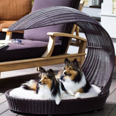 Outdoor Dog Chaise Lounger