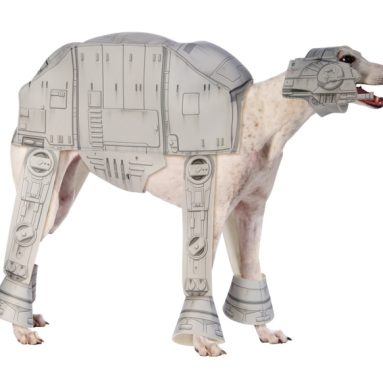 Costume Star Wars Pet Costume