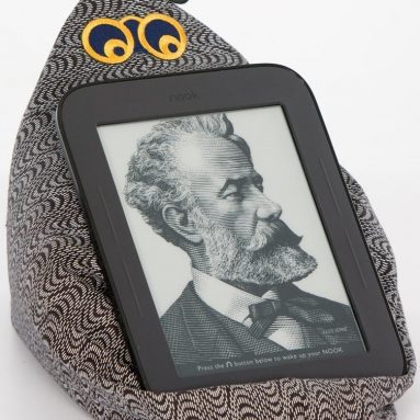 The Kindle Stand With Personality