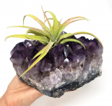 Amethyst Cluster Air Plant Holder/Relaxation Home