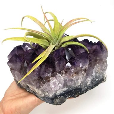Amethyst Cluster Air Plant Holder/Relaxation Home