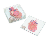 Anatomic Heart Specimen 6-Piece Coaster Set