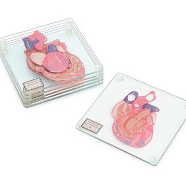 Anatomic Heart Specimen 6-Piece Coaster Set