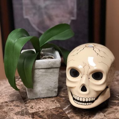 Ancient Skull Diffuser