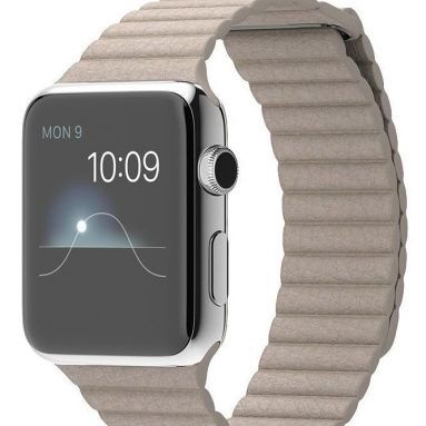 Apple 42MM LargeWatch Stainless Steel Case – SteelStone Leather Loop