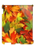 Apple iPad (2nd 3rd 4th Gen) Case Autumn Leaves