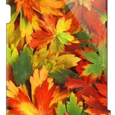 Apple iPad (2nd 3rd 4th Gen) Case Autumn Leaves