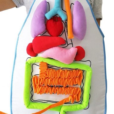Apron Human Body Organs Awareness Educational Insights Toys