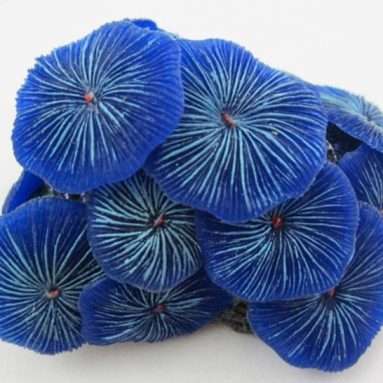 Aquarium Fish Tank Silicone Sea Anemone Artificial Coral Ornament