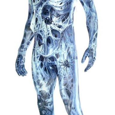 Arachnomania Adult Morphsuit Costume