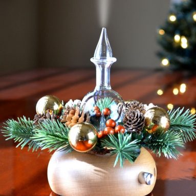 Aromatherapy Diffuser – Professional Grade