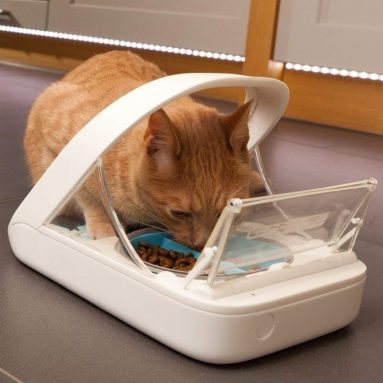 Automatic Pet Feeder
