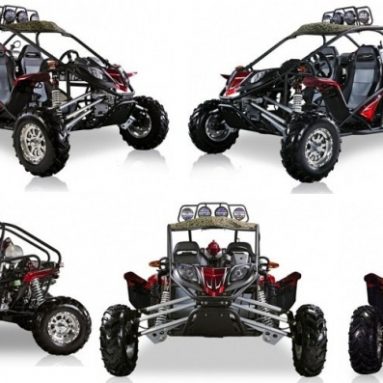 BMS Cherry Bomb 600 RED Gas 2 Cylinder 586cc Buggy Go Kart