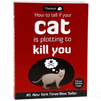 HOW TO TELL IF YOUR CAT IS PLOTTING TO KILL YOU