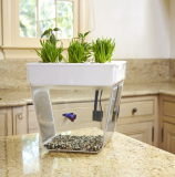 Back to the Roots Water Garden