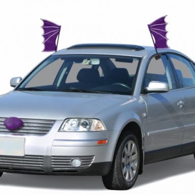 Bat Halloween Vehicle Costume