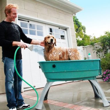 Bath Elevated Dog Wash Tub