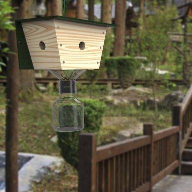 Best Bee Trap Carpenter Bee Trap