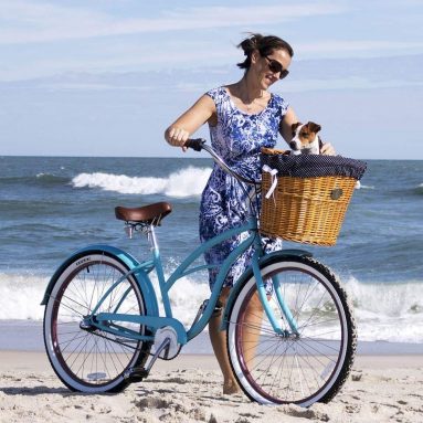 Bicycle Basket for Dogs