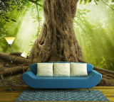 Big Tree Roots and Sunshine in a Green Forest – Removable Wall Mural