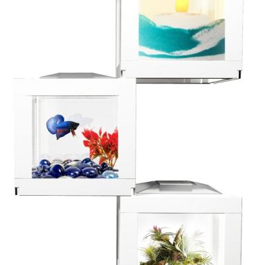 BioBubble Decocubes Ornament