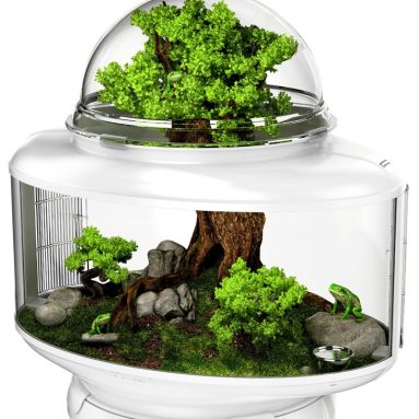 BioBubble Reptile Terrarium
