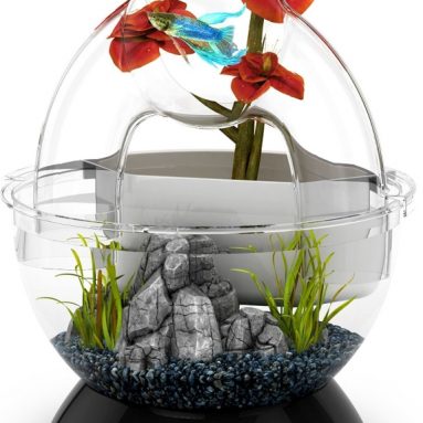 BioBubble Wonder Bubble Tunnel Kit