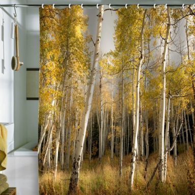 Bird Wanna Whistle Golden Aspen Shower Curtain