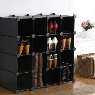 Black Shoe Storage Organizer