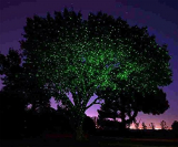 Bliss Firefly Fairy Outdoor Holiday Dual Laser Lights Color Green