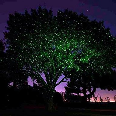Bliss Firefly Fairy Outdoor Holiday Dual Laser Lights Color Green