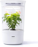 Bloomengine Bluetooth Smart Indoor Planter