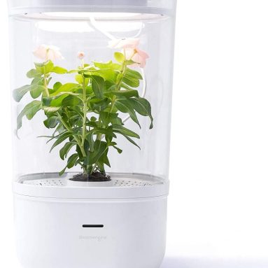 Bloomengine Bluetooth Smart Indoor Planter
