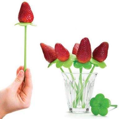 Blossom – Floral food picks