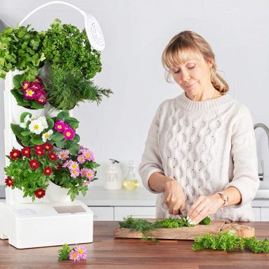 BlueSkyGrow Self Watering Planter