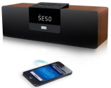 Bluetooth Speaker System with FM Radio