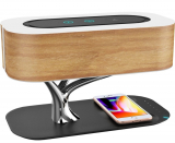 Bluetooth Speaker with Qi Wireless Charger