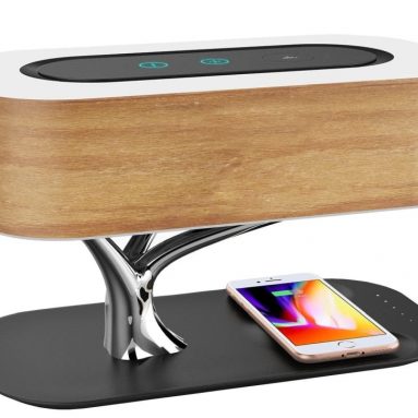 Bluetooth Speaker with Qi Wireless Charger