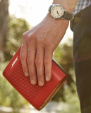 Bose SoundLink Color Bluetooth Speaker